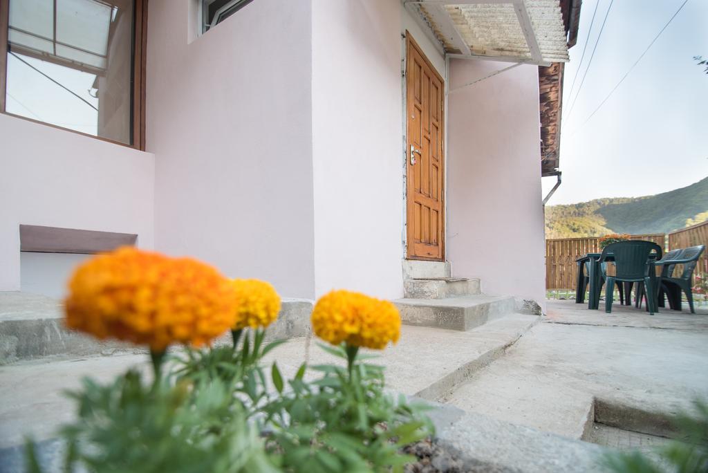 Belvedere Old City Brașov Exterior foto